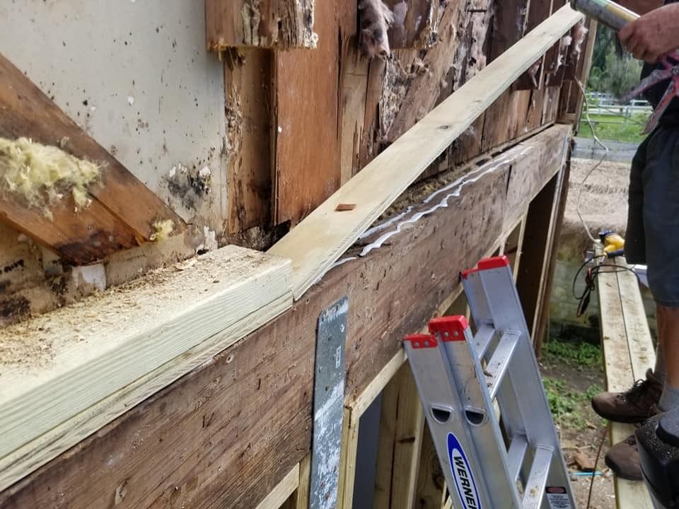 A man is standing next to a ladder holding a piece of wood.