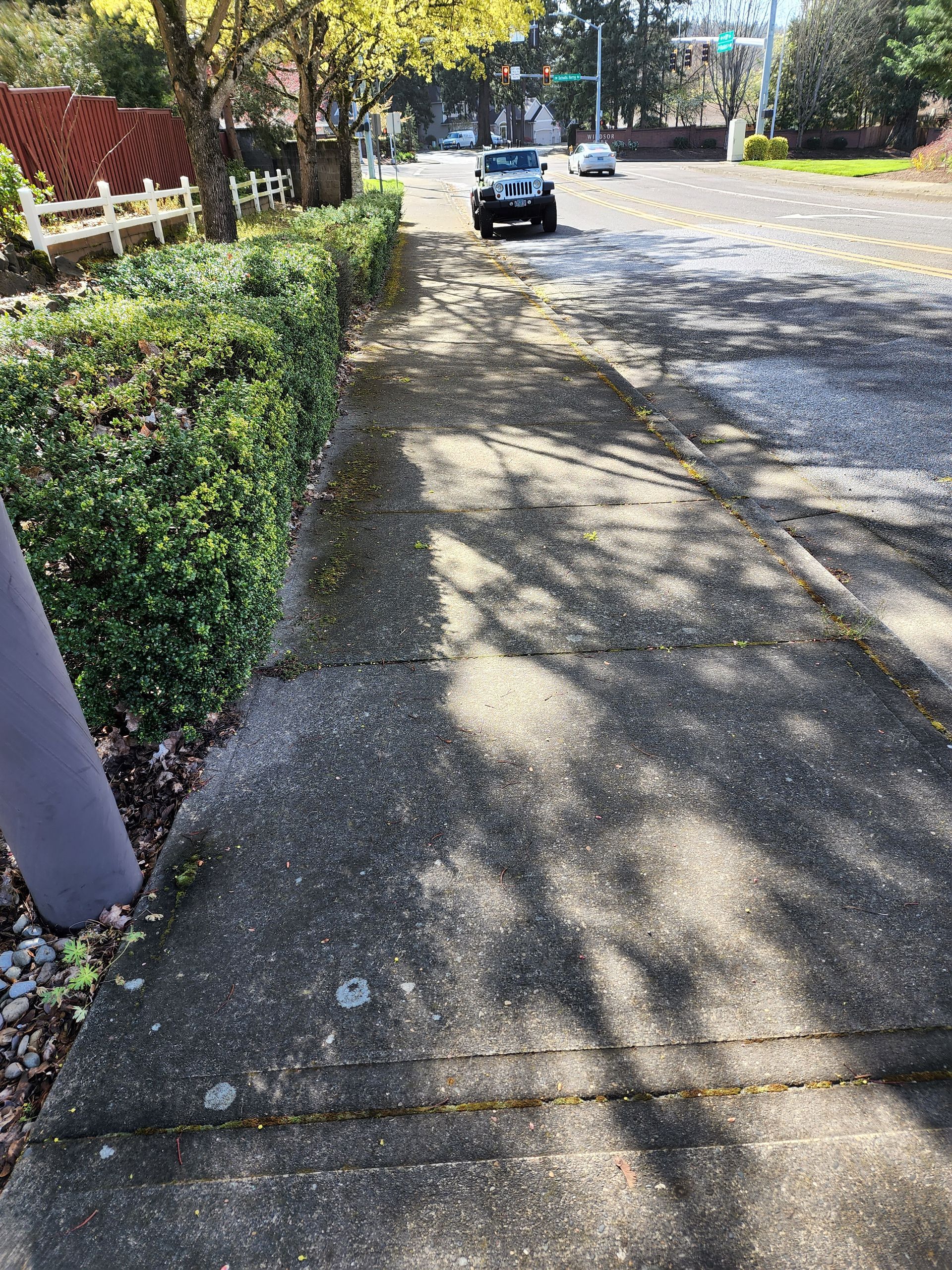 Hot water pressure washing removing mold from a home's Concrete in Lake Oswego