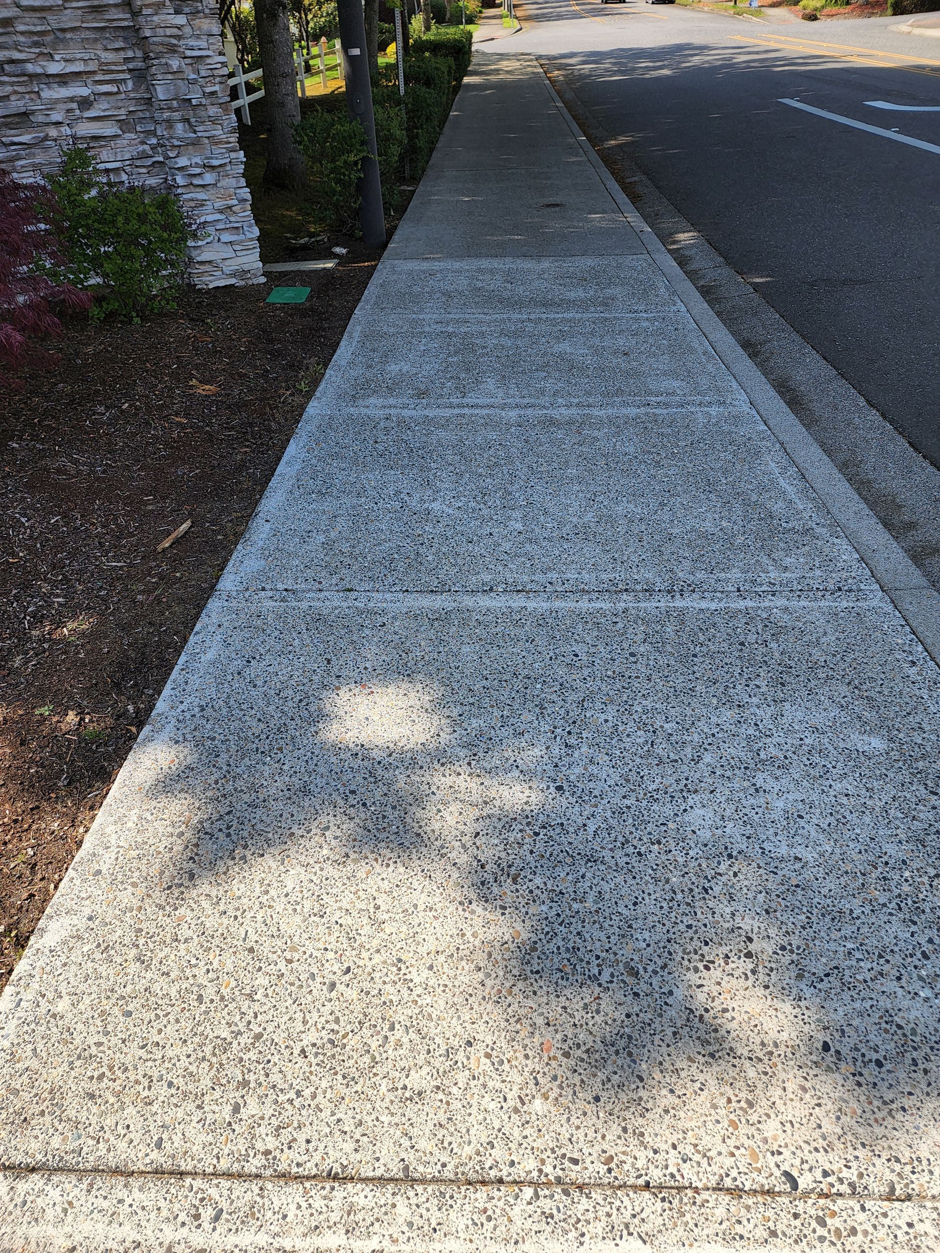 Hot water pressure washing removing mold from a home's Concrete in Lake Oswego