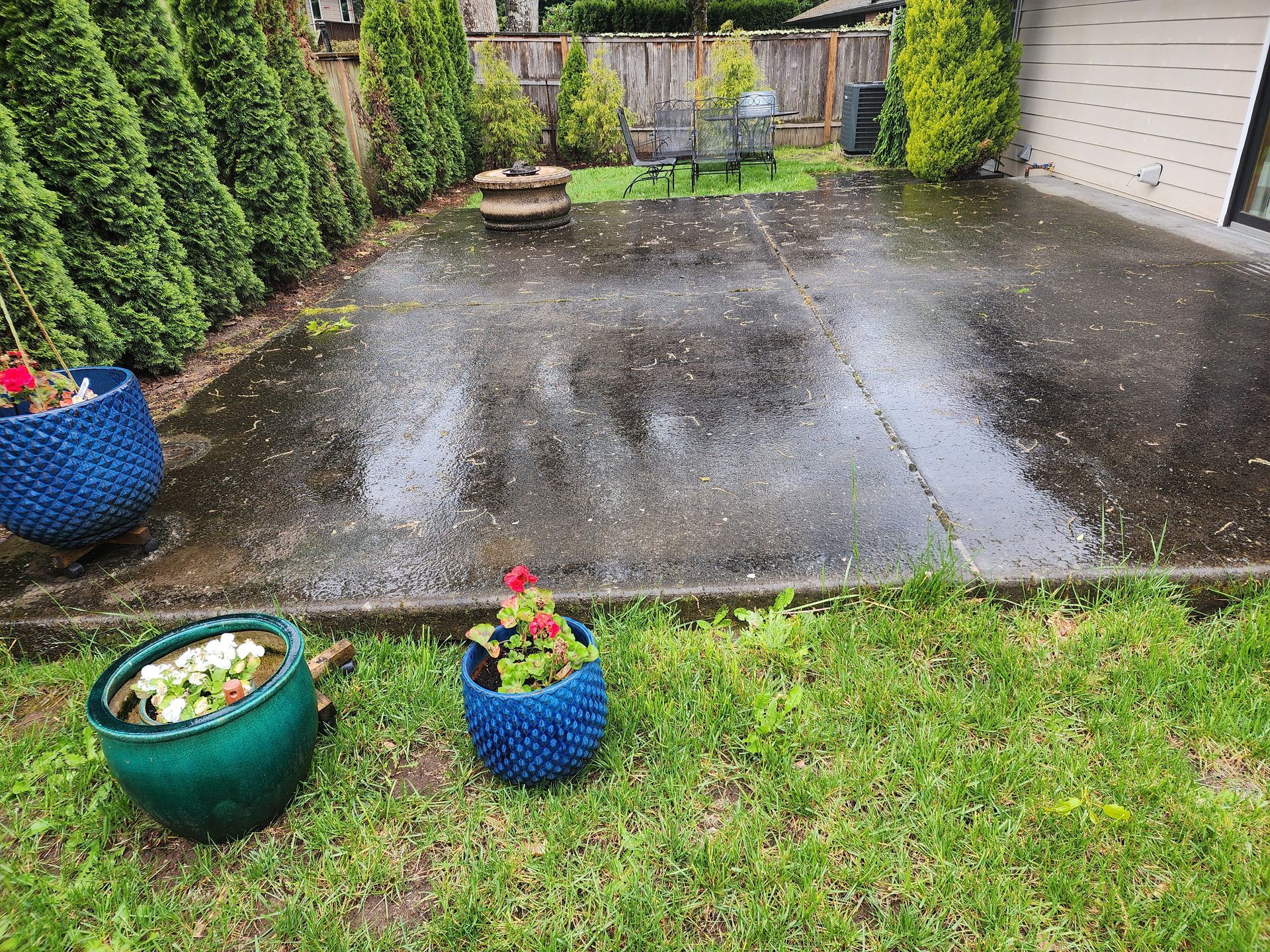 Hot water pressure washing removing mold from a home's Concrete in Tigard Oregon