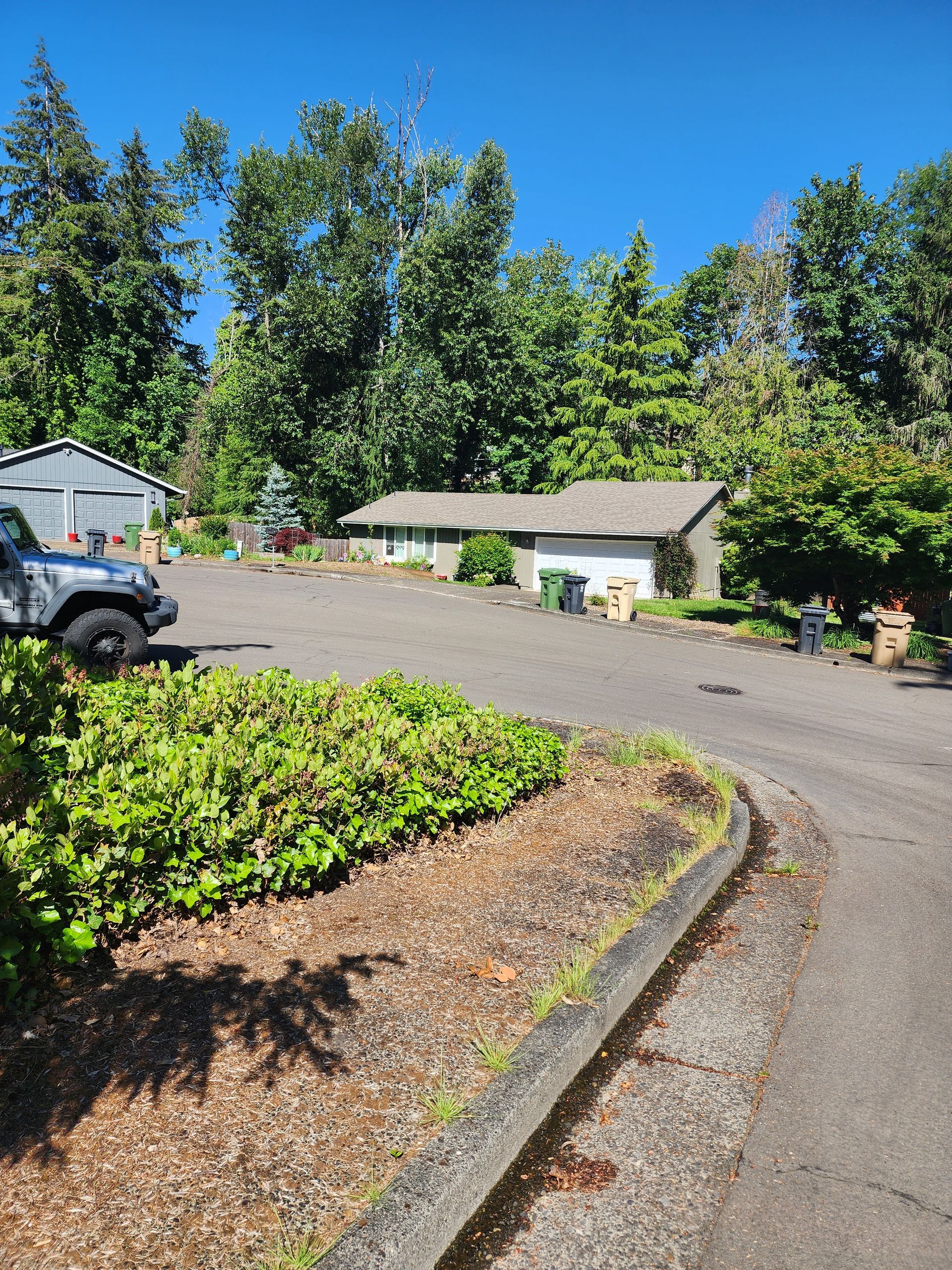 High-pressure hot water cleaning a concrete driveway, removing dirt and grime in Tigard Oregon