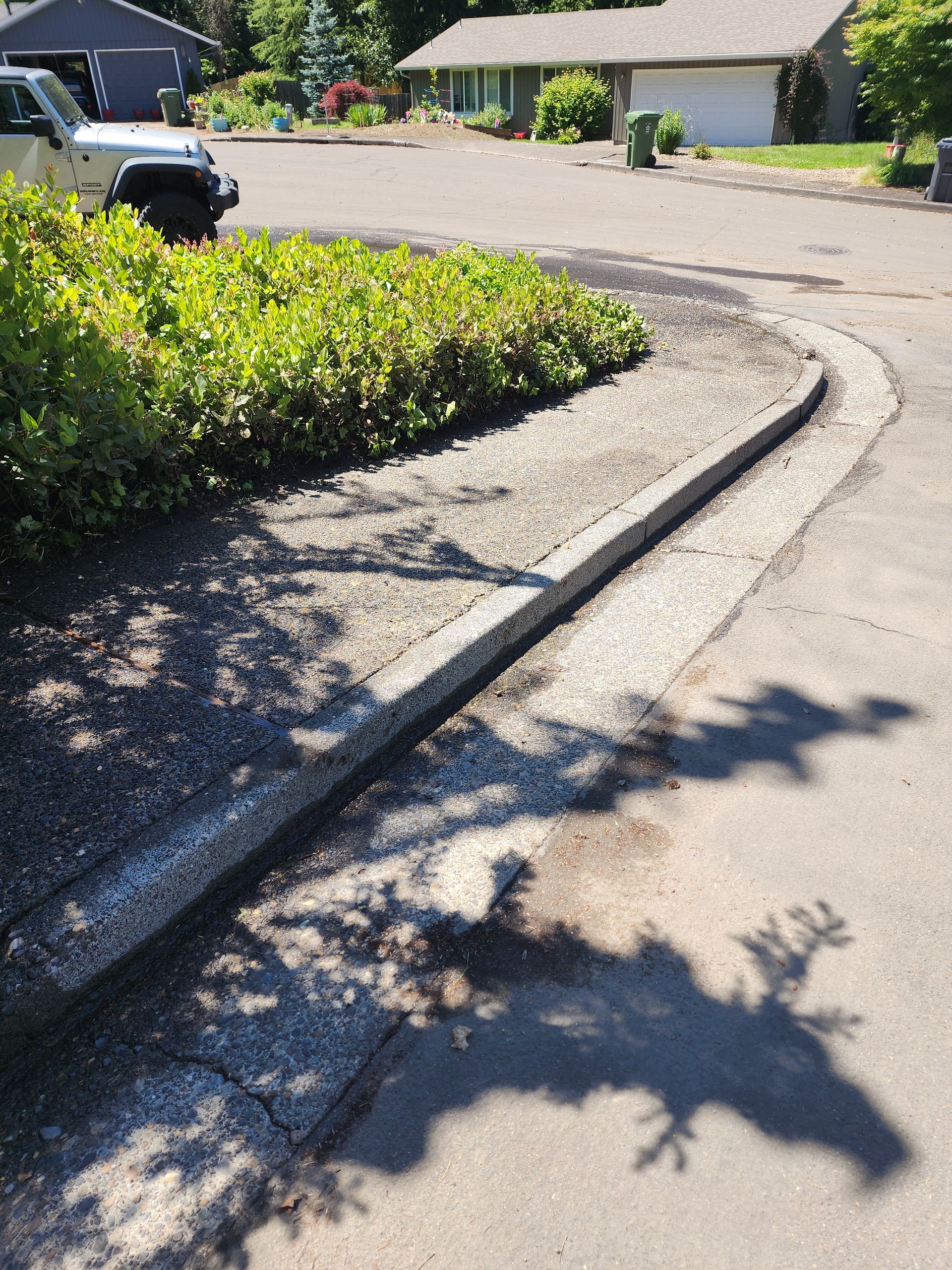 Hot water pressure washing removing mold from a home's Concrete in Lake Oswego