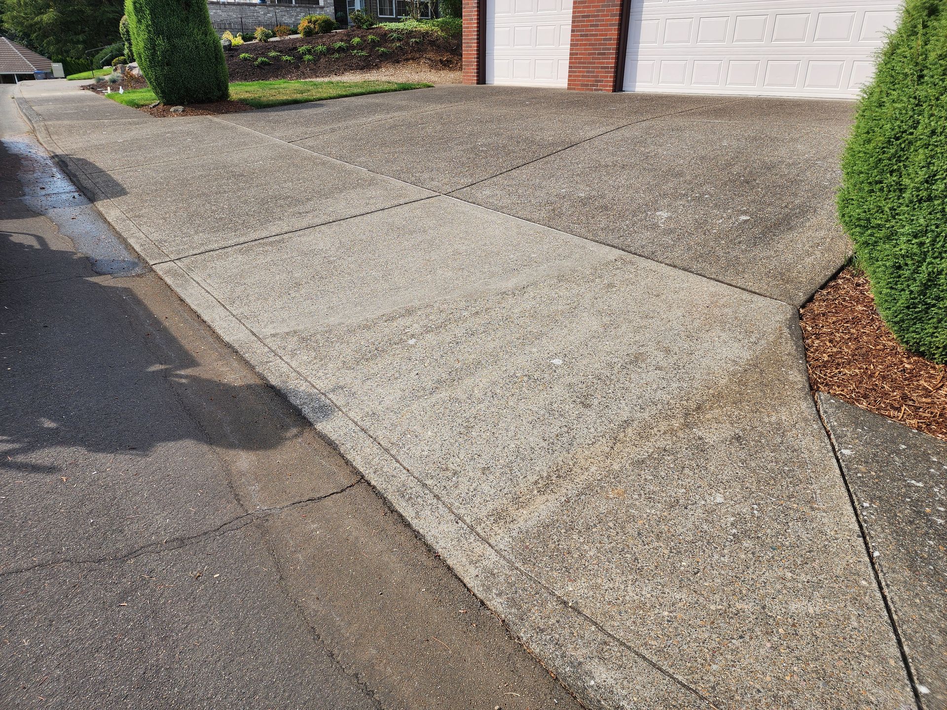 Hot water pressure washing removing mold from a home's Concrete in Tigard Oreon without chemical