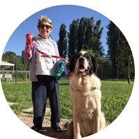 Pet Therapy  RSA