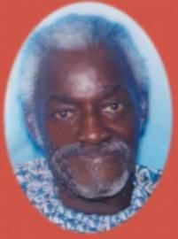 Portrait of an older man with gray hair and beard, wearing a patterned shirt on a blue background