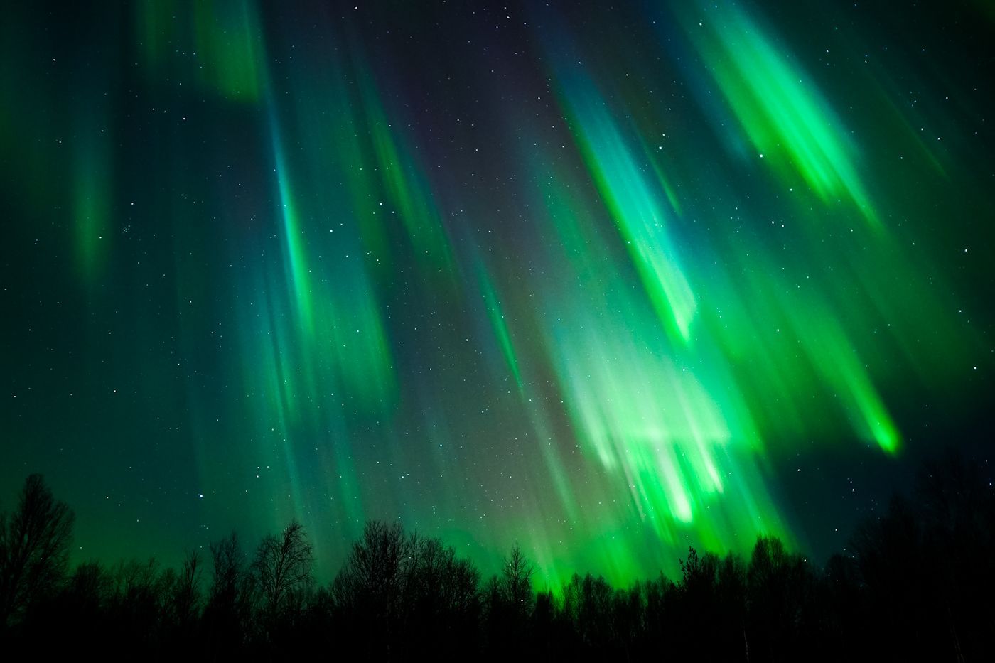 Streaks of green and purple Aurora during Arctic GM photography experience in Rovaniemi