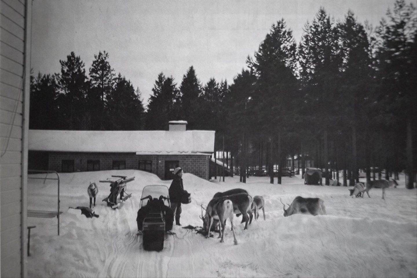 Historic Arctic GM family homestead in winter with reindeer and an early snowmobile