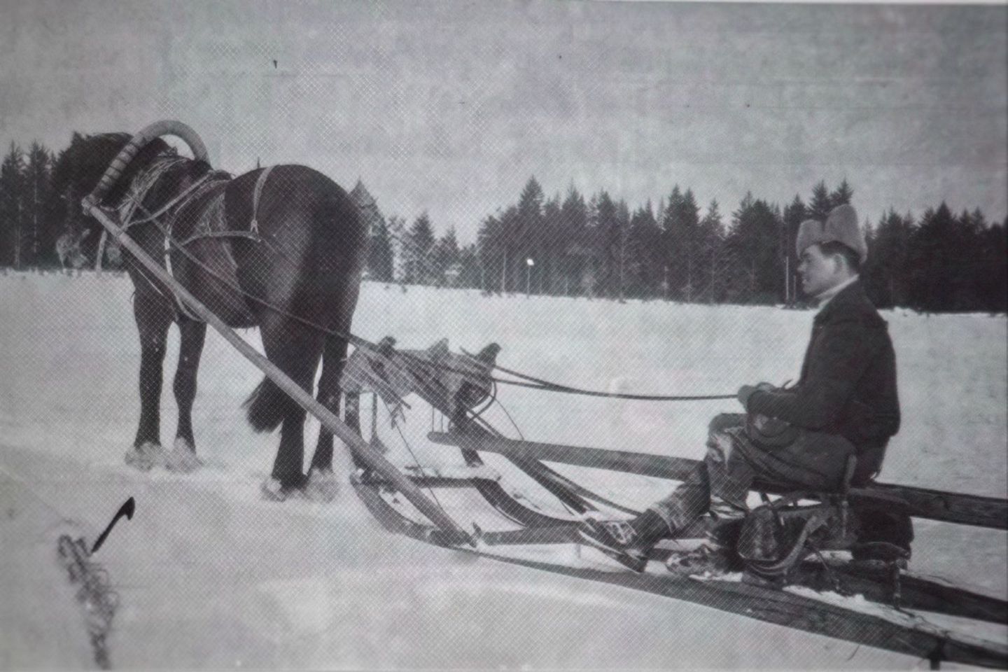 Historic horse-drawn sleigh travelling across a snowy field in Finnish Lapland