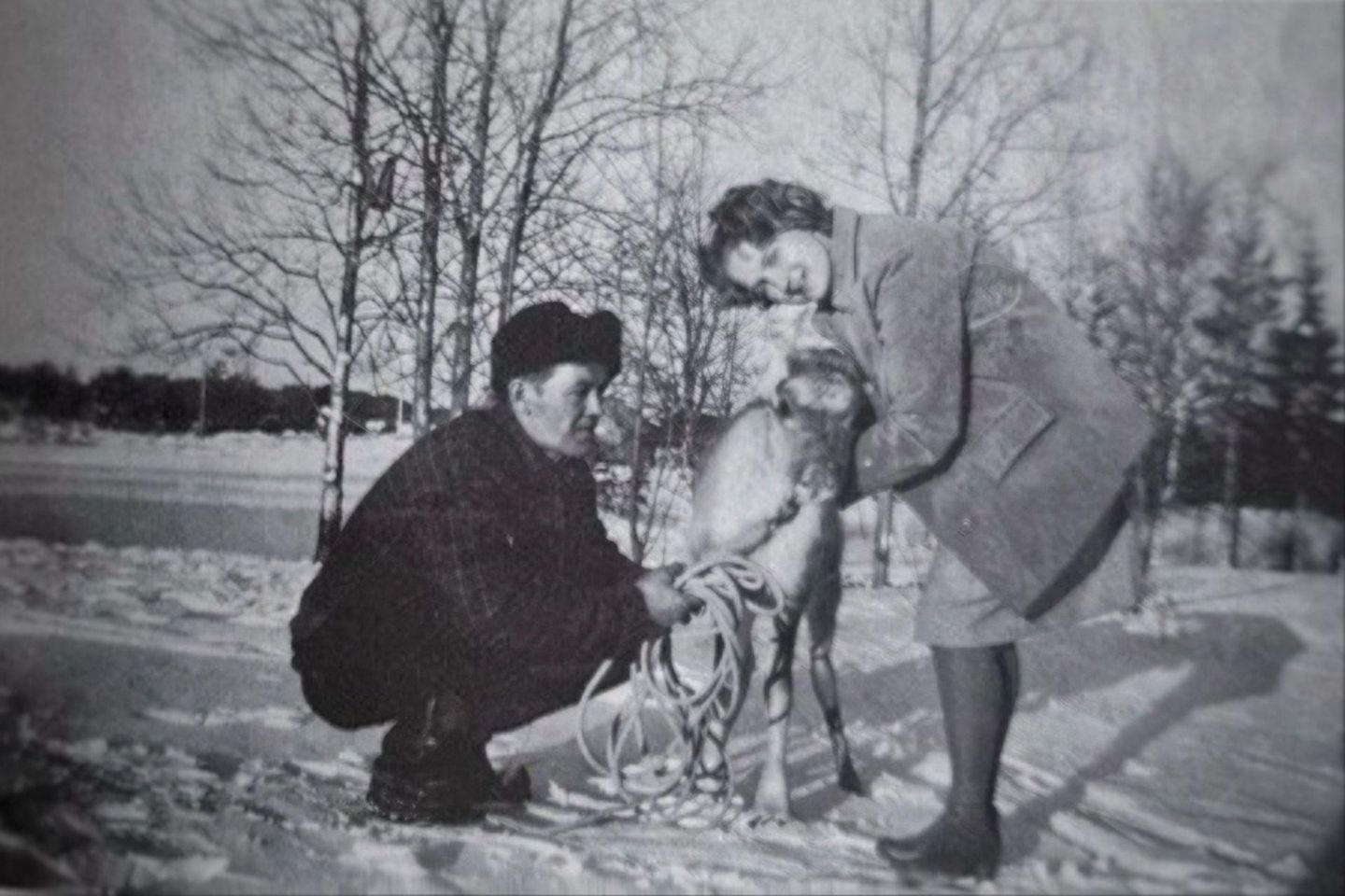 Two Arctic GM family members caring for a reindeer in a snowy Lapland landscape