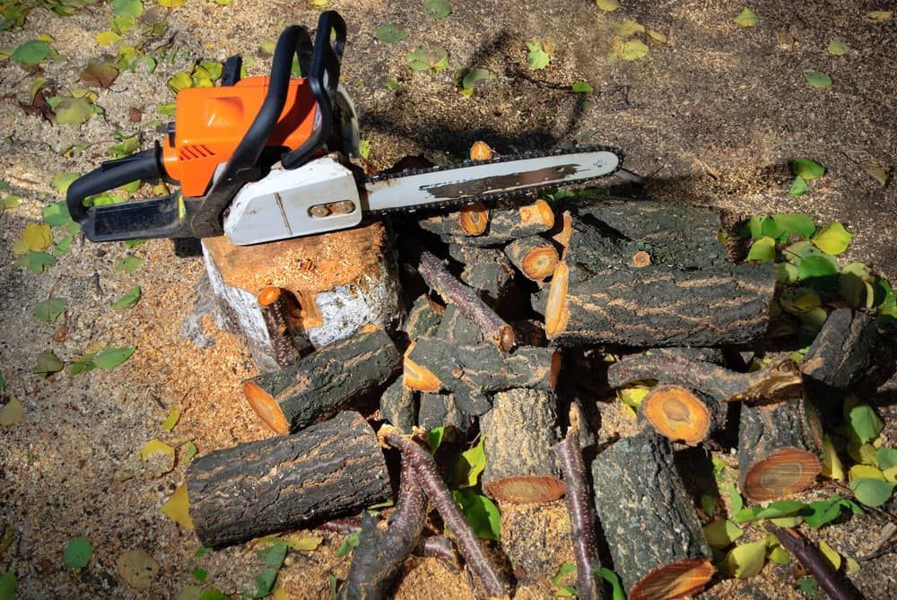 A Chainsaw Is Sitting on Top of A Pile of Logs — Stihl Shop Grafton in Iluka, NSW