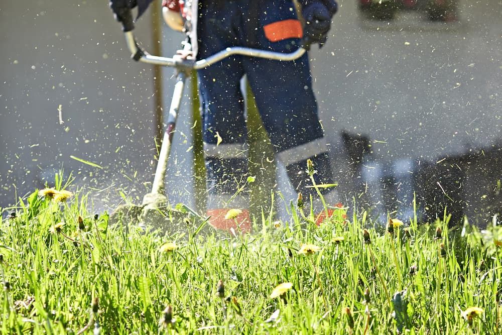 A Person Is Cutting Grass with A Lawn Mower — Stihl Shop Grafton in Iluka, NSW