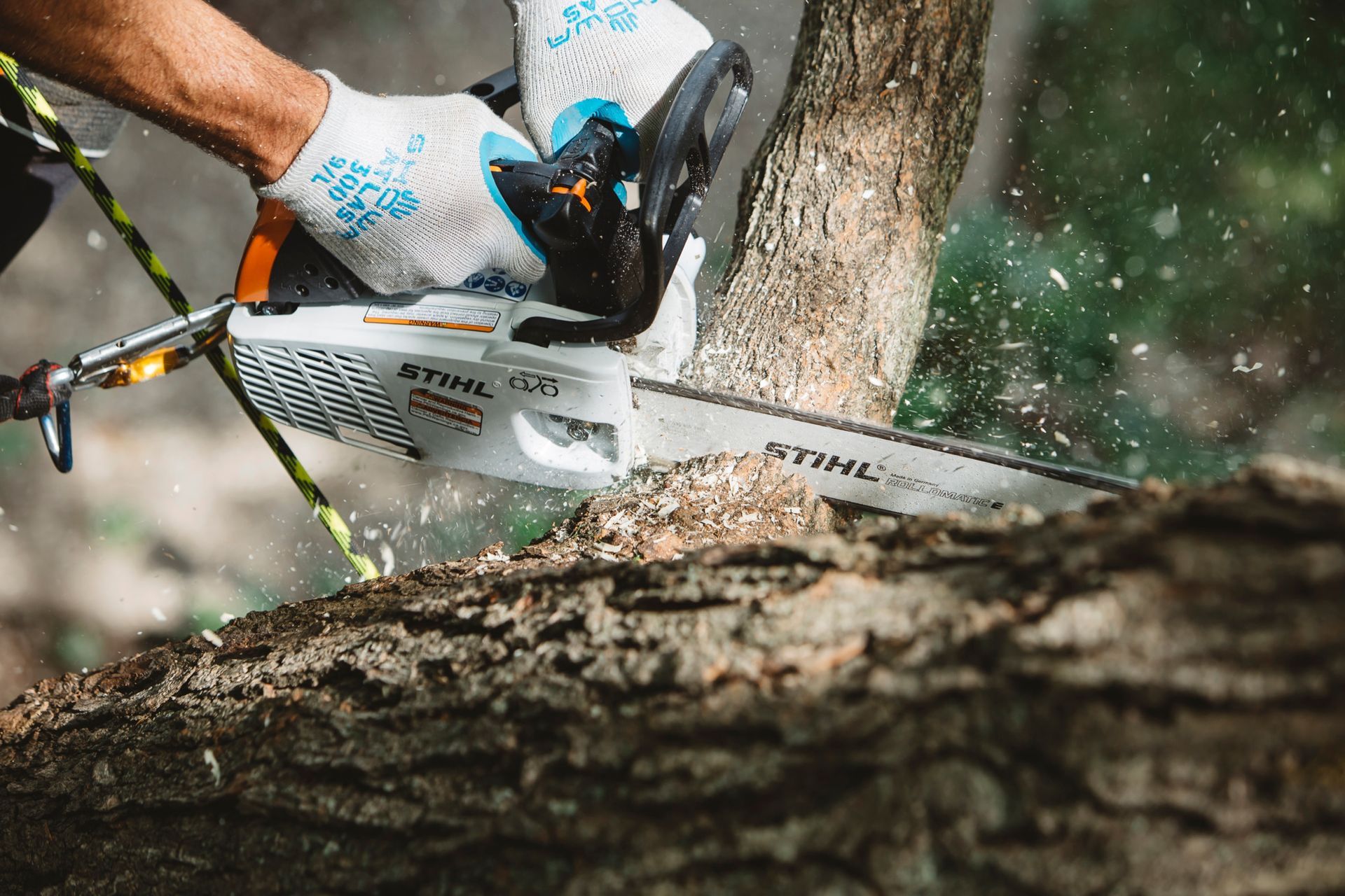 A Person Is Cutting a Tree with A Chainsaw — Stihl Shop Grafton in Coffs Harbour, NSW