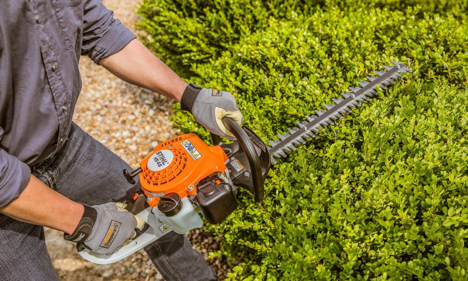 A Man Is Cutting a Bush with A Hedge Trimmer — Stihl Shop Grafton in Grafton, NSW
