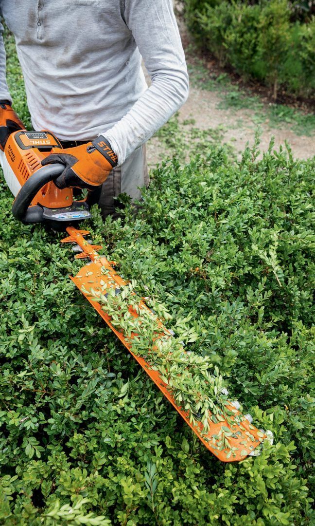 A Man Is Cutting a Bush with A Hedge Trimmer — Stihl Shop Grafton in Grafton, NSW