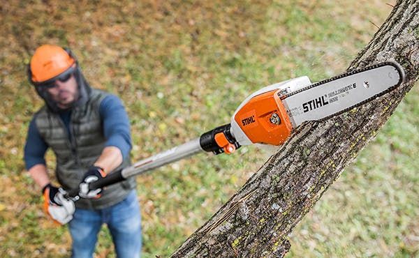 A Man Is Using a Stihl Pole Saw to Cut a Tree Branch — Stihl Shop Grafton in Iluka, NSW
