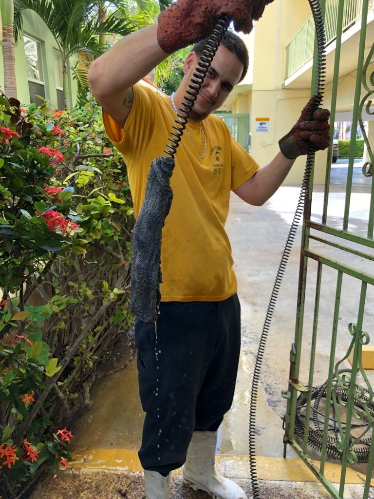 Person holding a long snake by a garden walkway near a metal fence