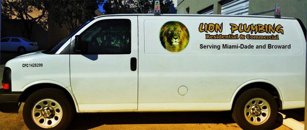 White service van with “DSM Plumbing” logo and text, parked outdoors at dusk.