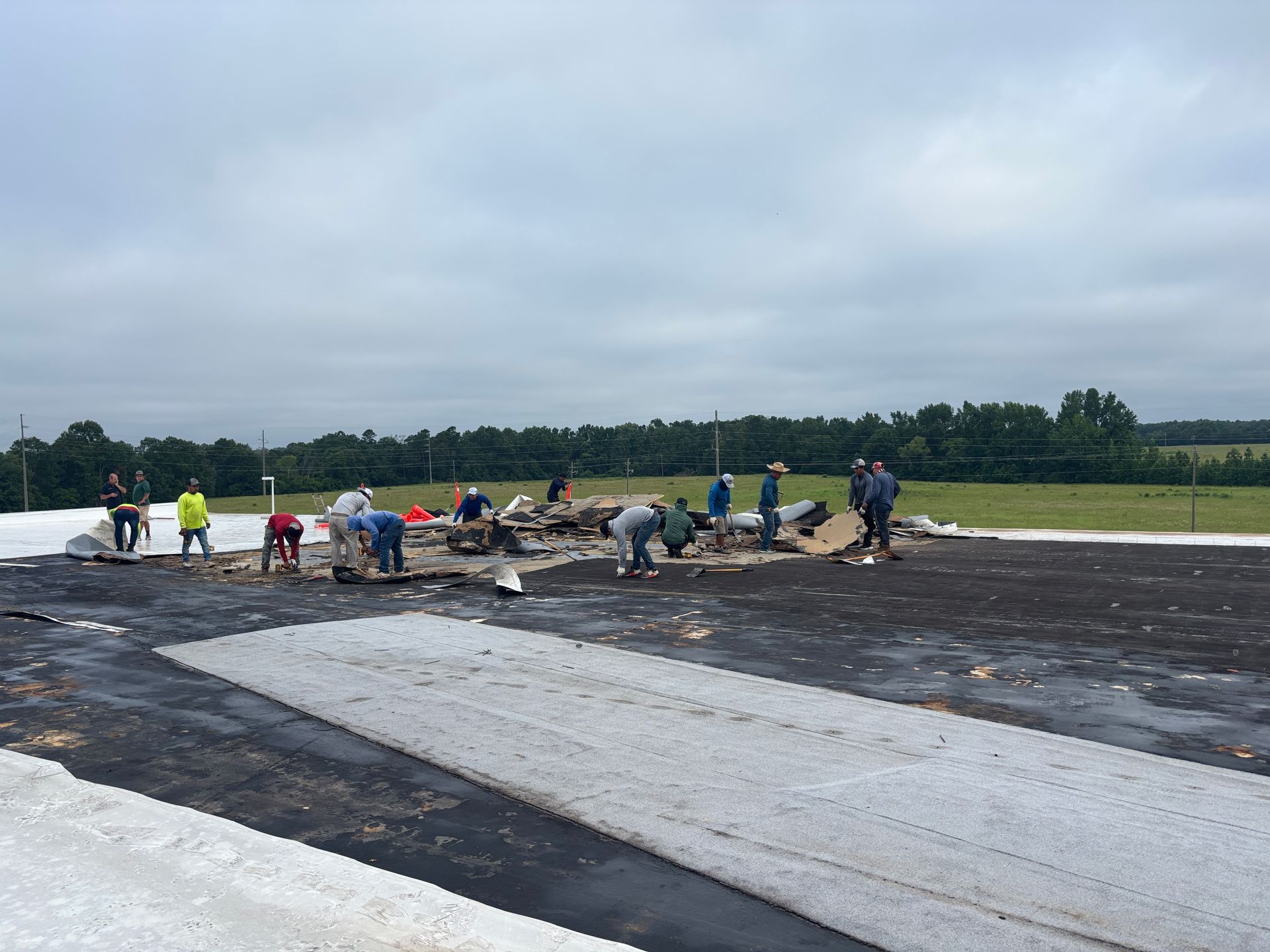 People working on a dark surface, possibly road repair, with light-colored materials. Cloudy day, open field.