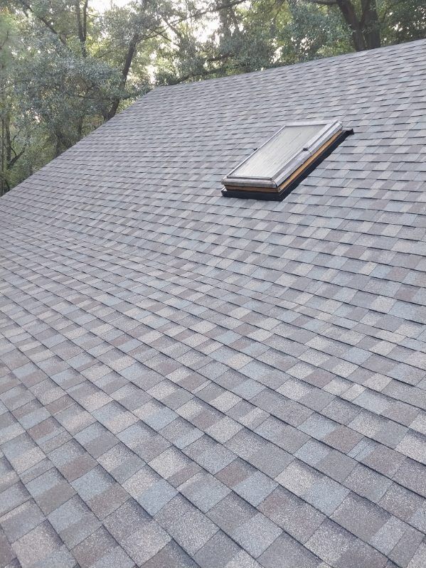 Gray asphalt shingle roof with a rectangular skylight. Background of trees visible.