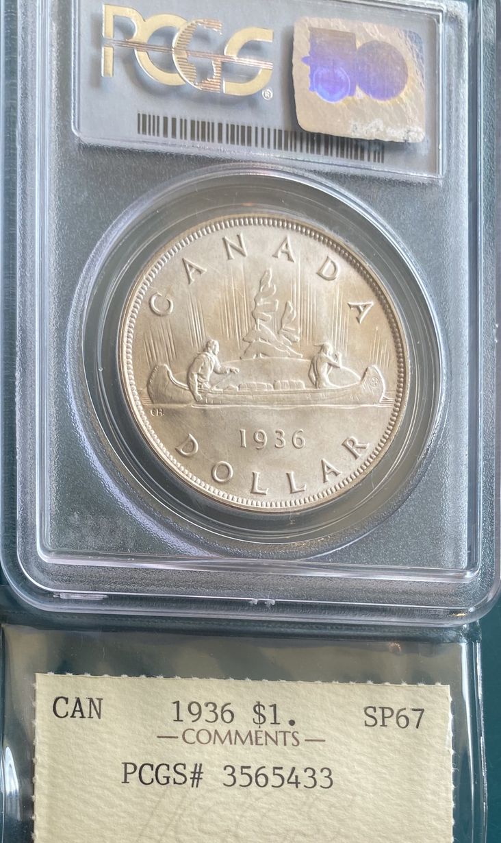 A close up of a canadian dollar coin in a plastic case.