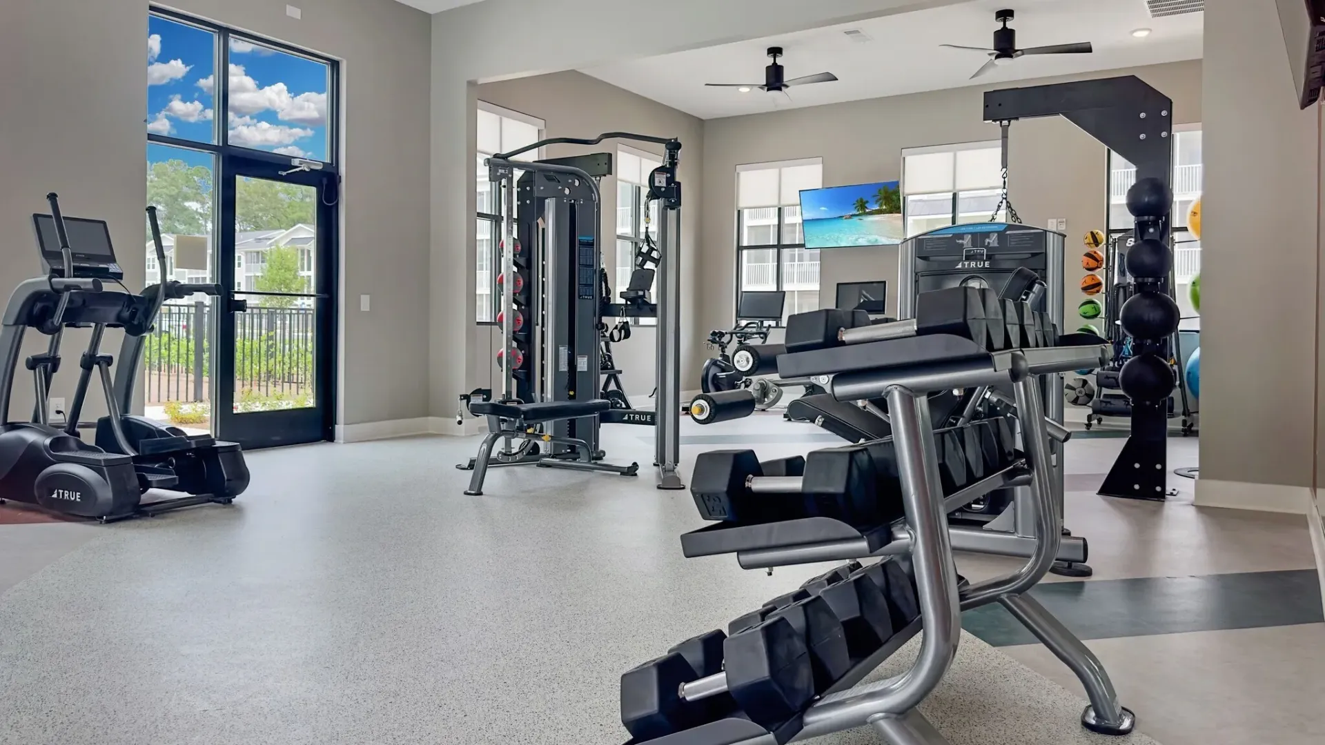 Modern apartment gym with cardio machines, weight racks, and free weights.
