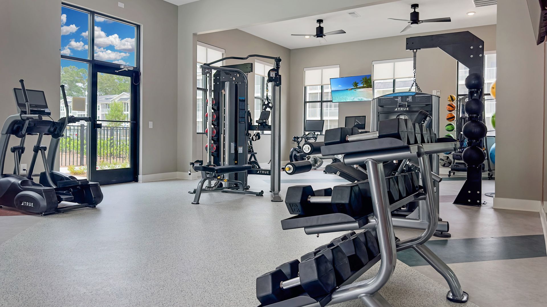 Bright gym interior with cardio and weight machines, large windows, and a scenic mountain view.
