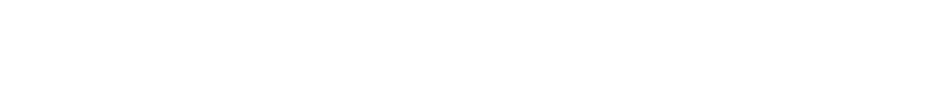 Blank white horizontal rectangle with a thin black border