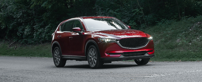 Red SUV driving on a winding road beside dense green trees