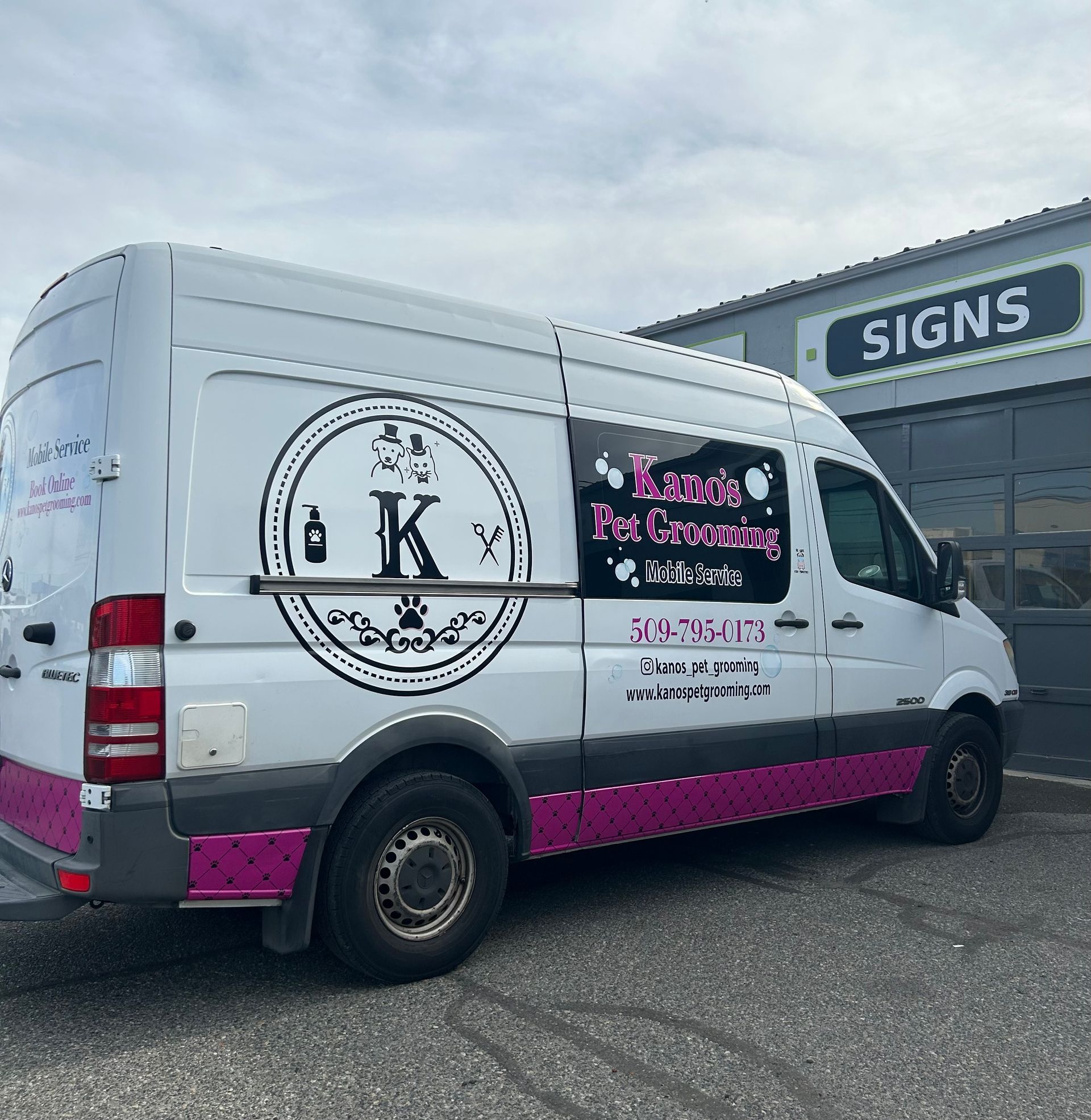 White van with