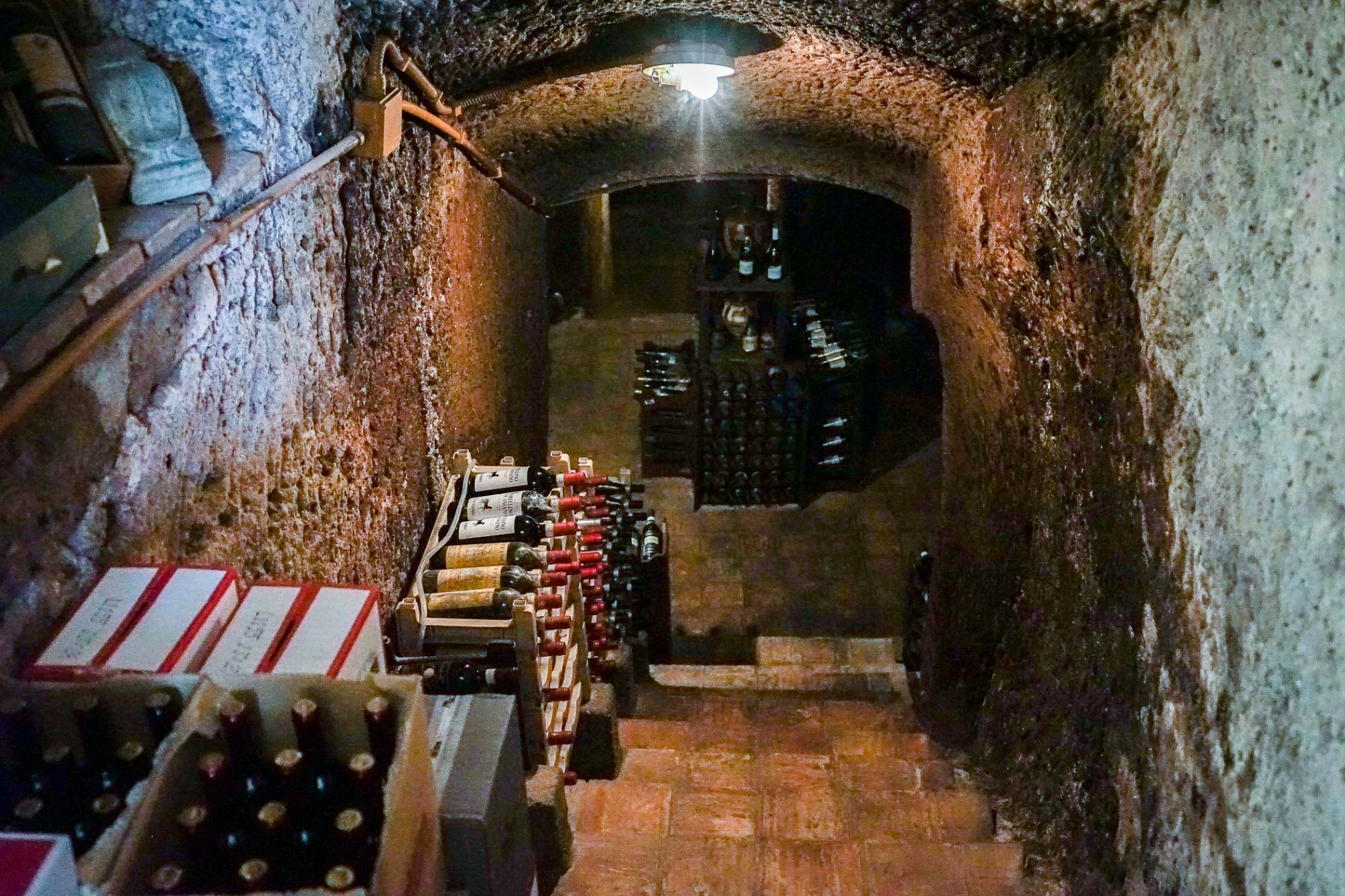 cantina con vini