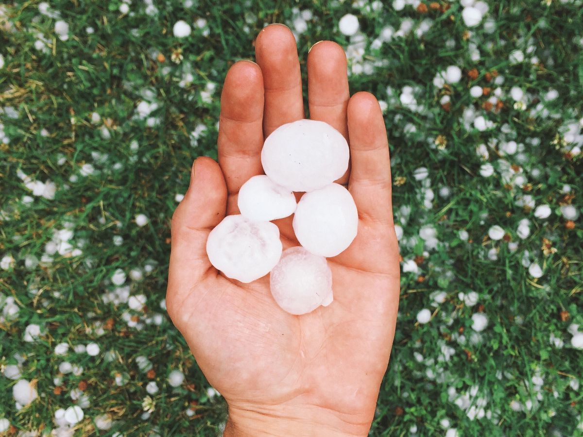 Hand holding large hailstones