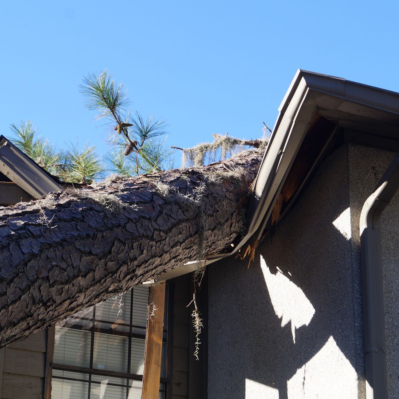 Fallen tree trunk resting against a house roof and wall under a clear blue sky