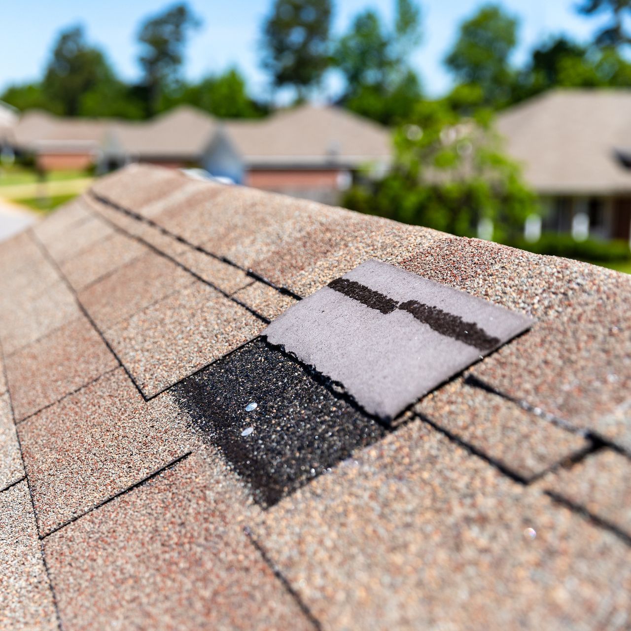 Residential asphalt shingle roof damage in Denver, CO
