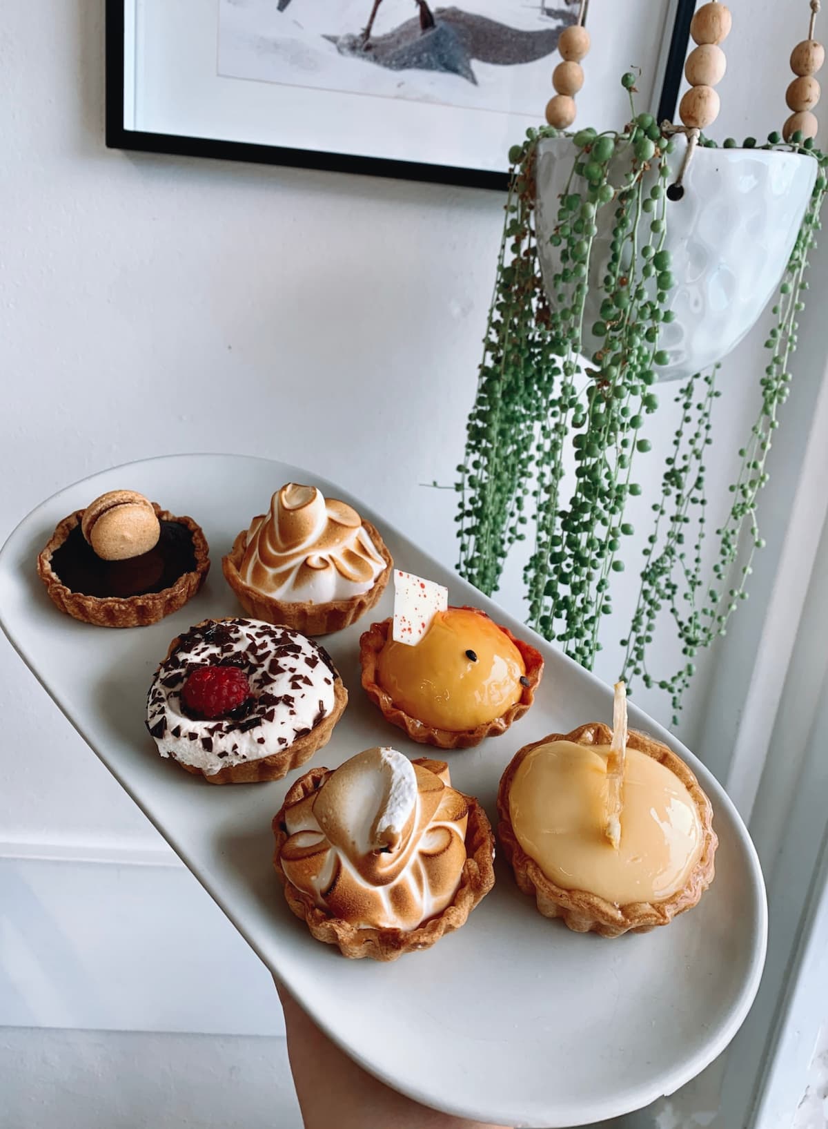 Cakes — A Nice Café in Nelson Bay