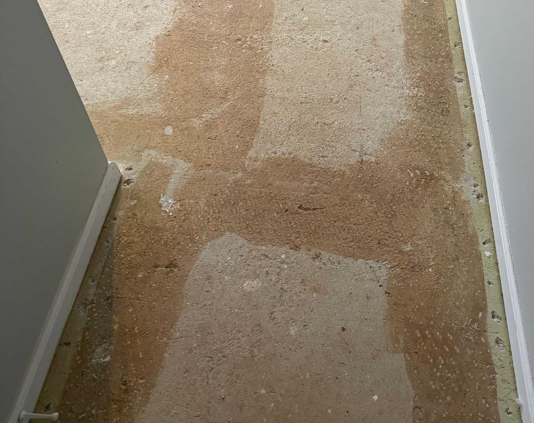 carpet removal service
