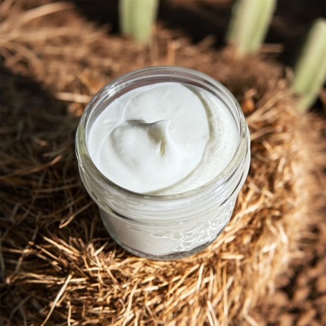 Whipped Tallow for acne