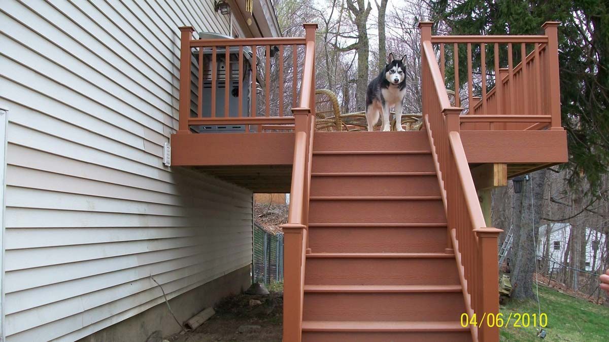Dog standing at the top of an outdoor wooden staircase with railings, beside a house