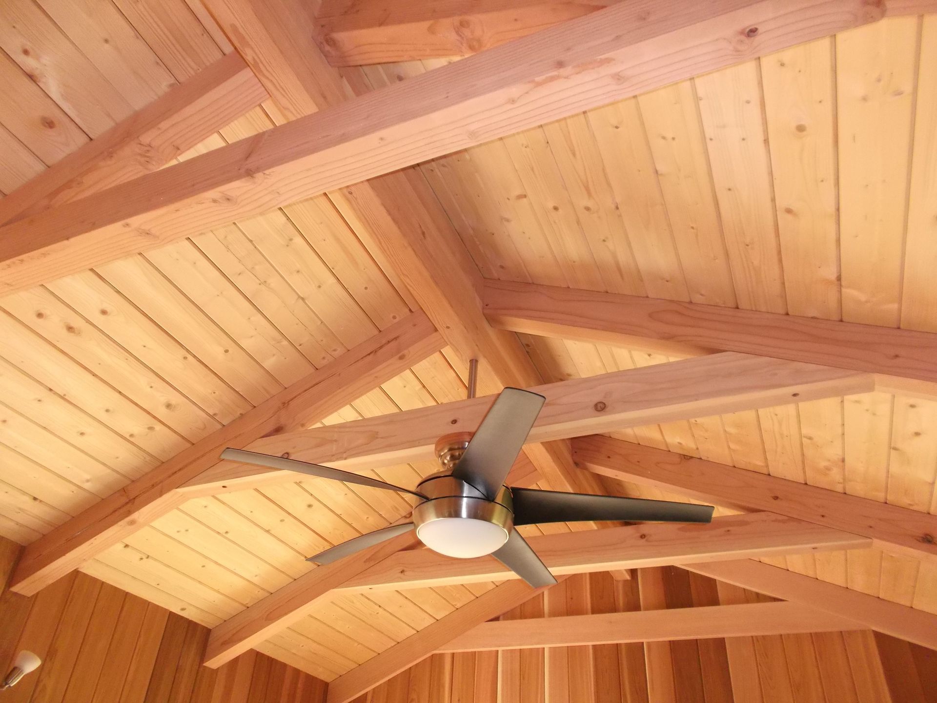 Wooden vaulted ceiling with exposed beams and a ceiling fan centered below