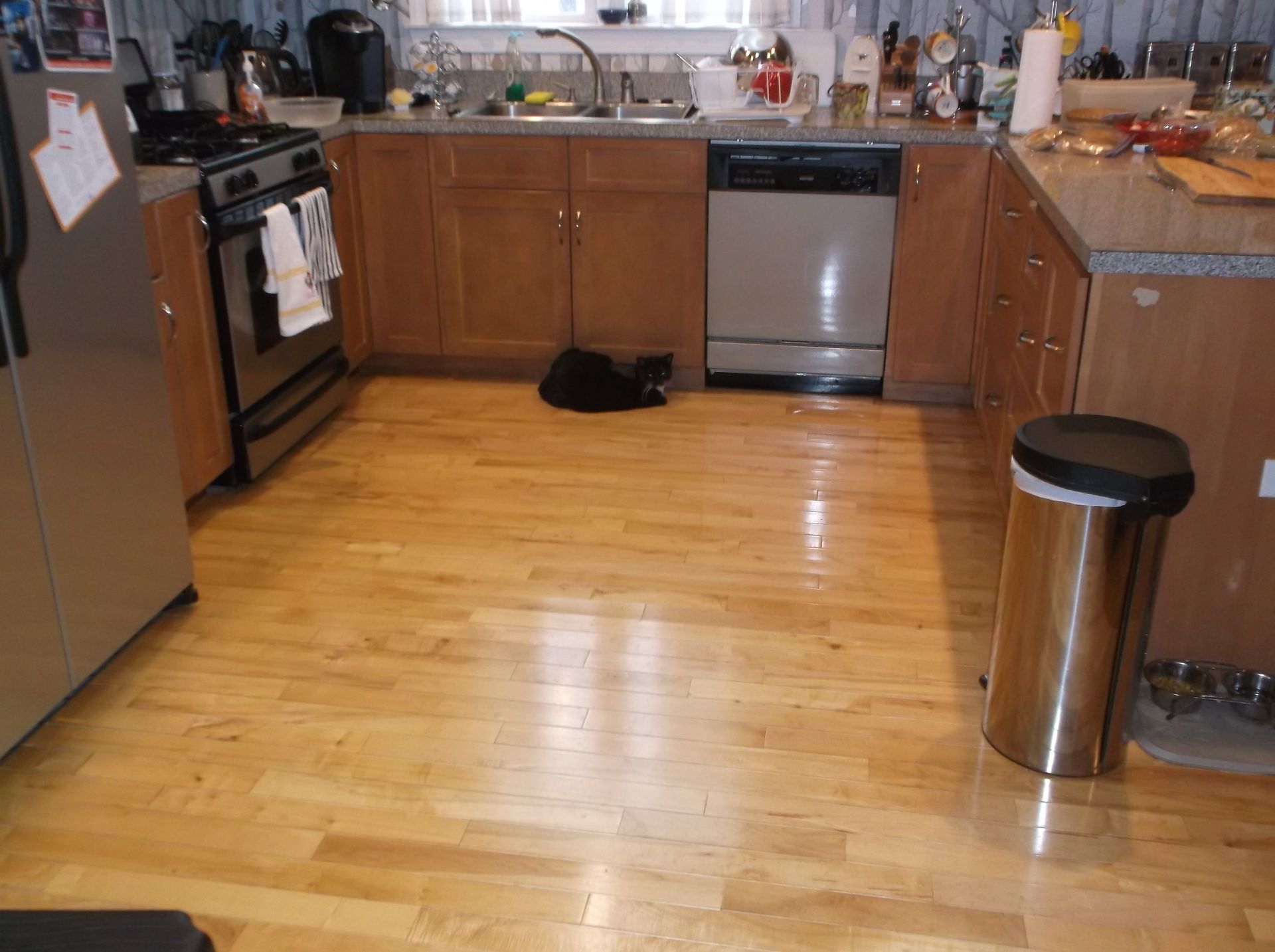Modern kitchen with wooden cabinets, stainless appliances, and a black cat lying on the floor.