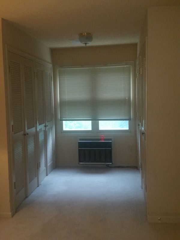 Narrow hallway with carpet, closet doors, window blinds, and a radiator beneath the window.