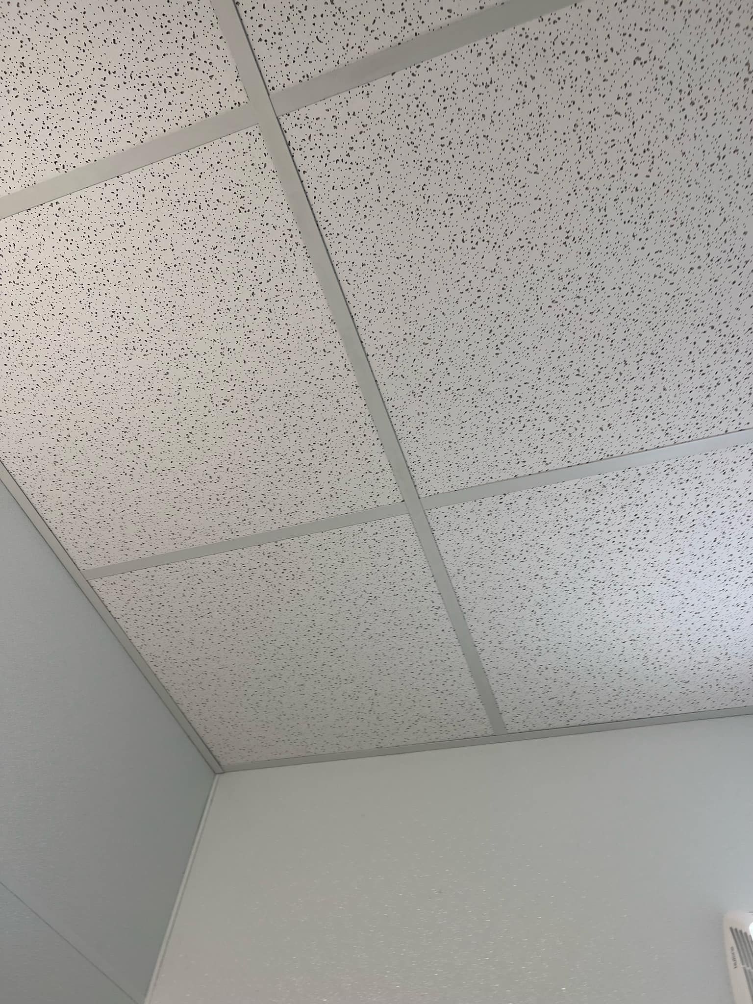 Office ceiling with speckled drop ceiling tiles and a fluorescent light fixture