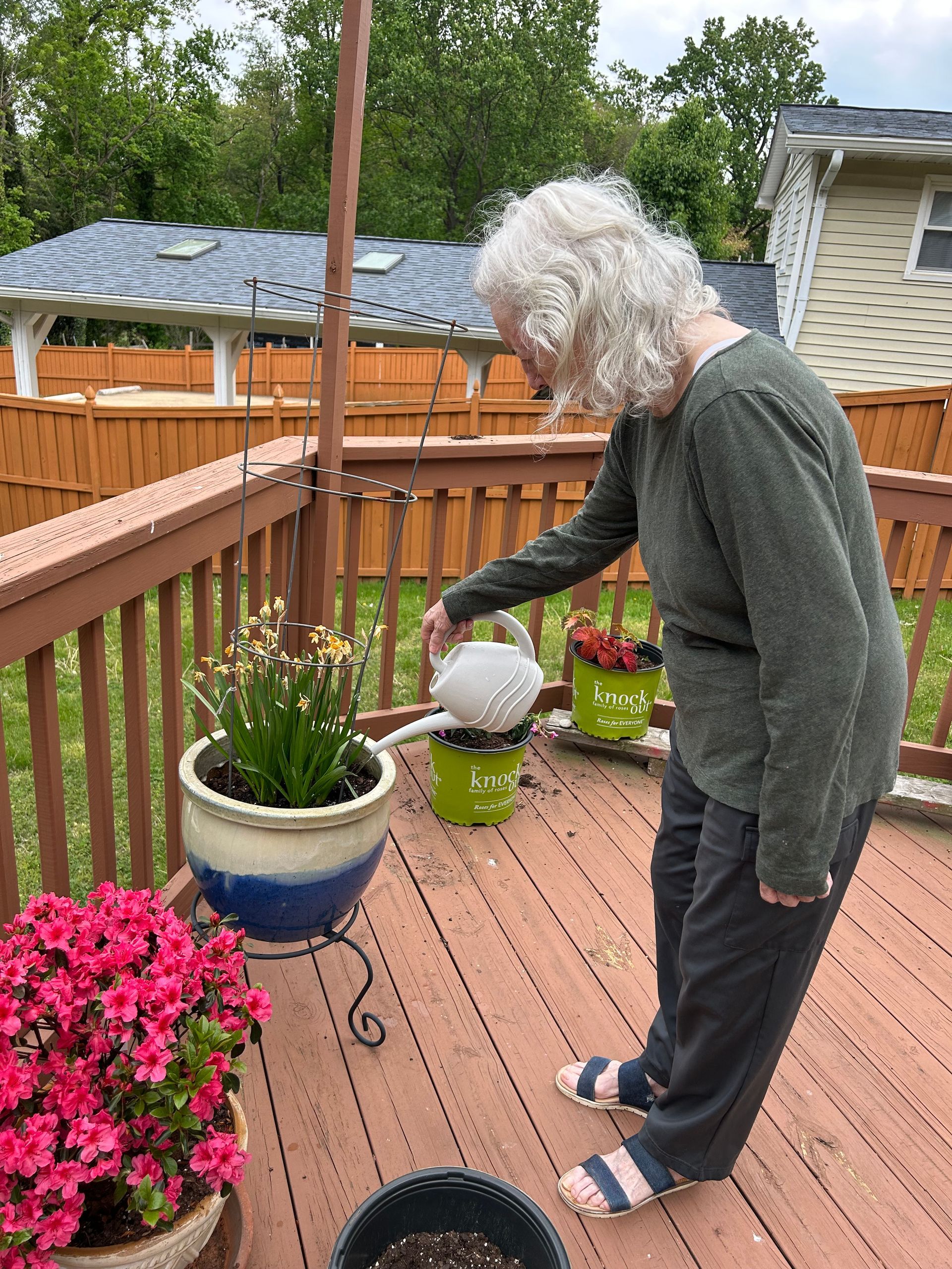 A person with gray hair wearing a green long-sleeved shirt waters potted plants on a wooden deck.