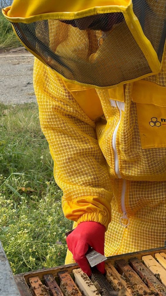 Apicoltore con tuta protettiva gialla e guanti rossi ispeziona un alveare all'aperto.