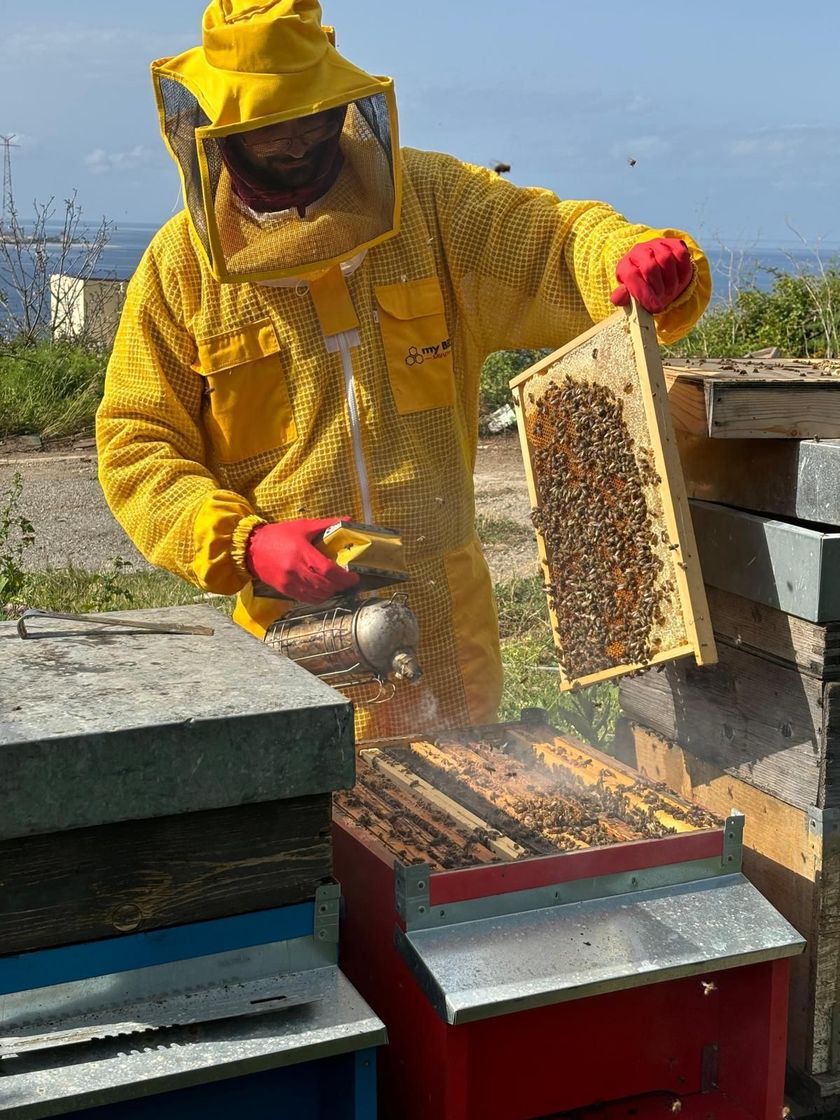 Apicoltore al lavoro