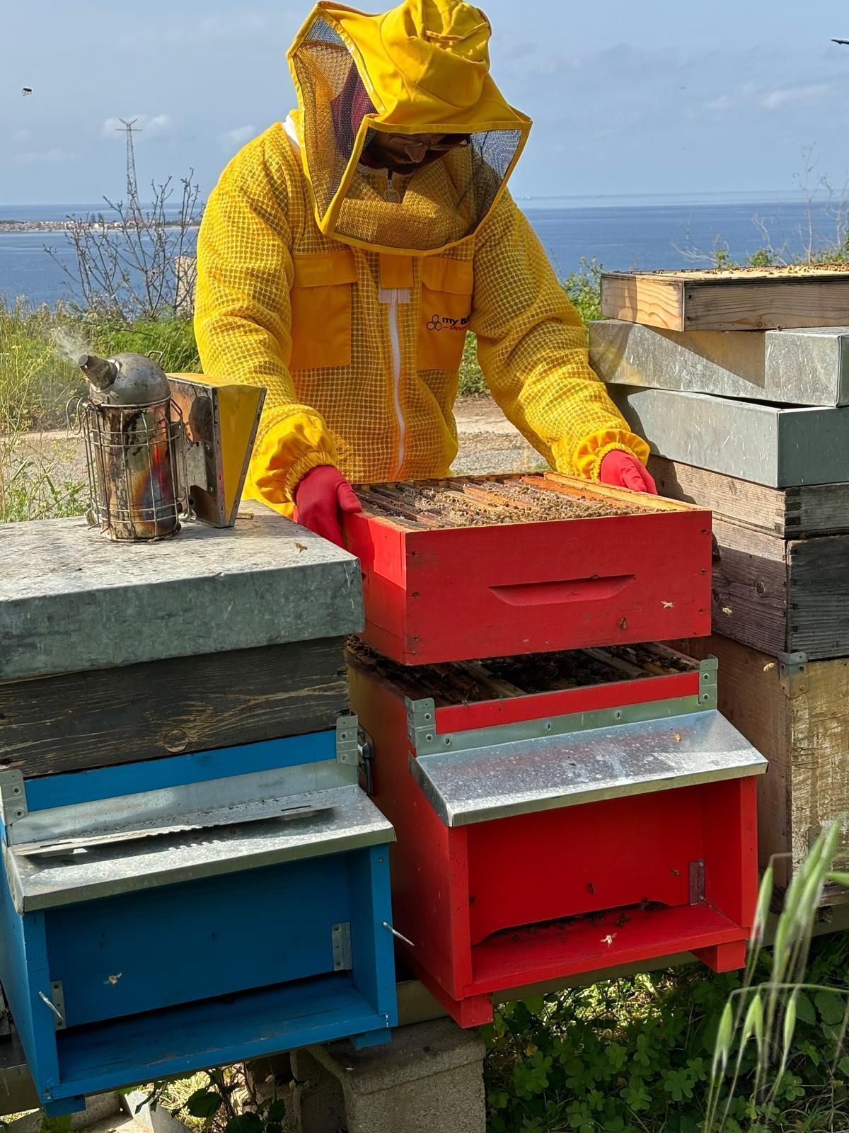Una persona con una tuta da apicoltore gialla si prende cura di coloratissimi alveari all'aperto.