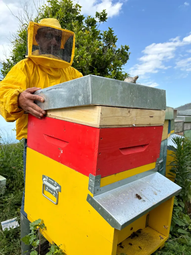 Una persona con una tuta da apicoltore gialla tiene in mano un alveare rosso e giallo all'aperto, sotto un cielo azzurro.