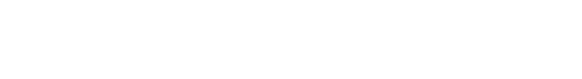 Two thin black horizontal lines on a white background