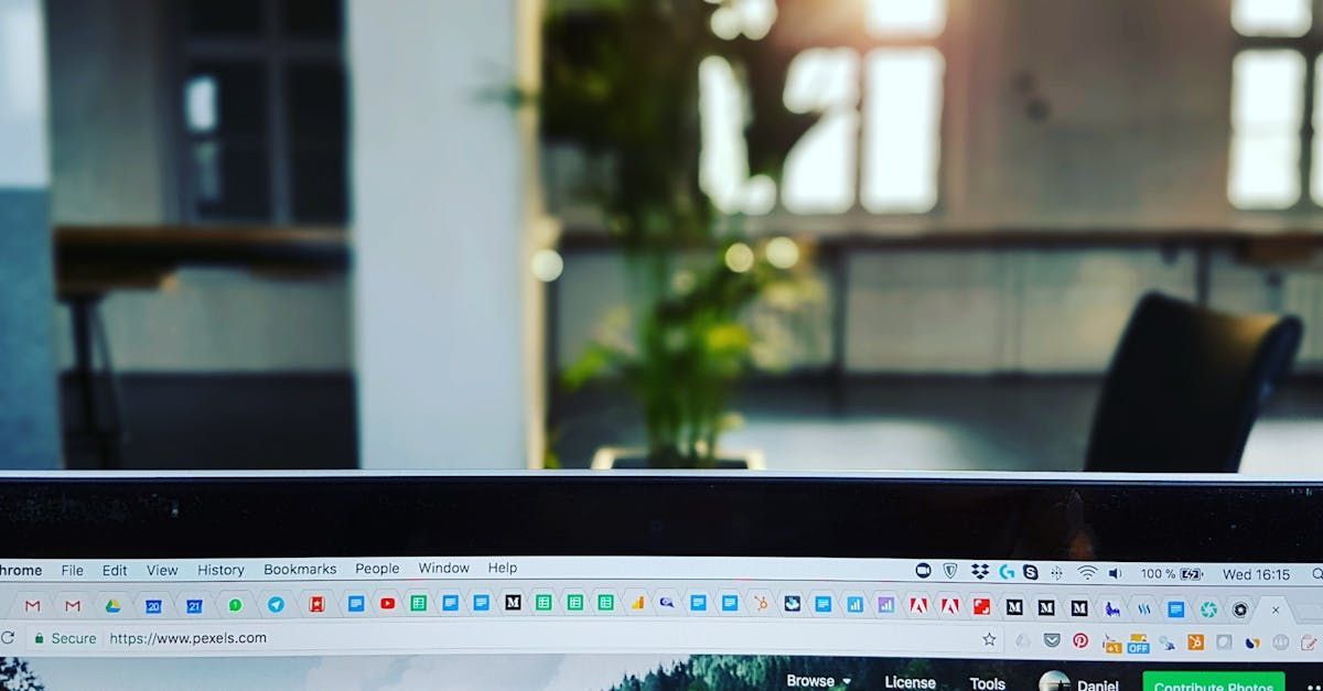A close up of a computer screen with a plant in the background.