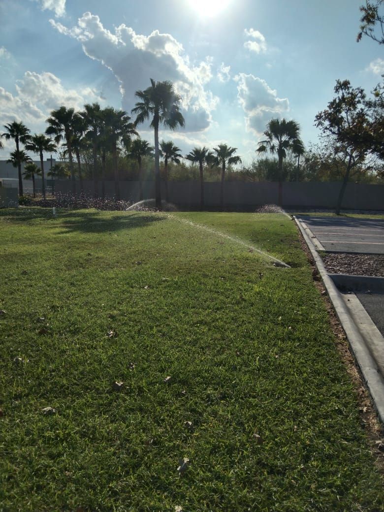 VIVEROS DE REYNOSA
