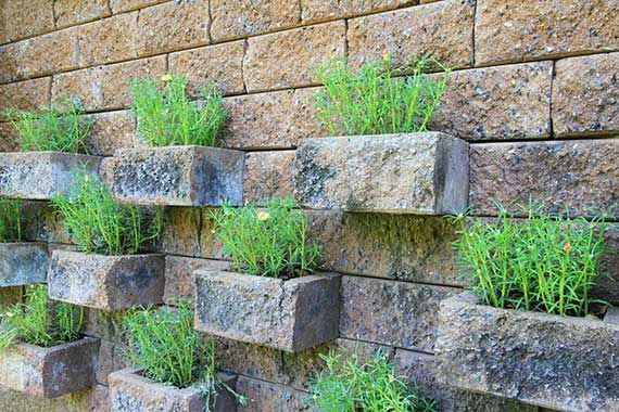 Una pared de ladrillos con jardineras llenas de plantas creciendo en ella.
